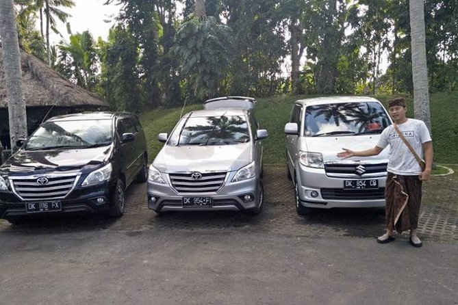 Bali Private Car Charter With English Speaking Driver To Ubud Area - Craft and Performance Circuit: Dance, Batik, Silver, Painting, Carving