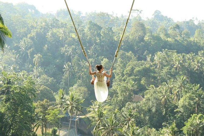 Bali Private Car Hire with English-Speaking Driver - Price and value: $52.05 per person, what you get for it