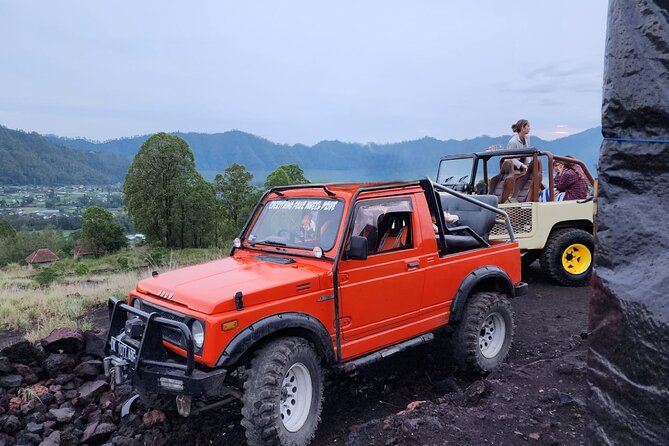 Bali Private Custom Tour - The driver and vehicle: the real value you are buying