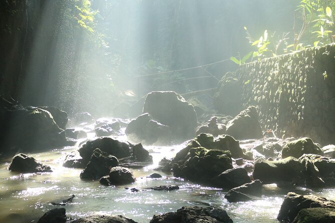 Bali Private Full Day Tour to Visit the Best Waterfalls and Swing near Ubud - Terrace River Pool Swing and the coffee-luwak add-ons