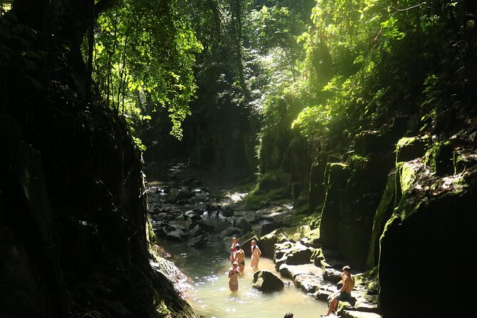 Bali Private Full Day Tour to Visit the Best Waterfalls and Swing near Ubud - Tegalalang Rice Terraces: a short scenic pause
