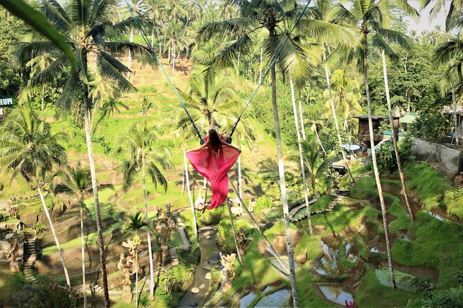 Bali Private Full Day Tour to Visit the Best Waterfalls and Swing near Ubud - Price and value: what $77 per group gets you