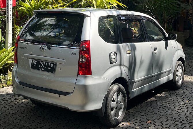 Bali Private Full Day Tour to Visit the Best Waterfalls and Swing near Ubud - Tegenungan Waterfall: the easy opener near Ubud