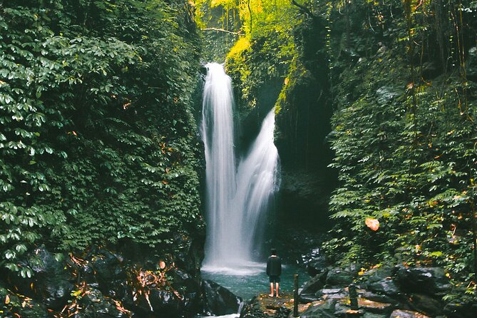 Bali : Private Fullday trip, Discover North Bali Destination - Fruit markets and a coffee plantation add-on that actually tastes like Bali