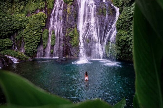 Bali Private Tour: Handara Iconic Gate, Watefall and Temple - Key Highlights Worth Marking on Your Map