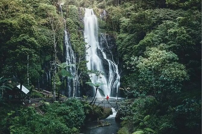 Bali Private Tour: Handara Iconic Gate, Watefall and Temple - Wanagiri Hidden Hills: The Swing Stop and Its Crater-Lake View