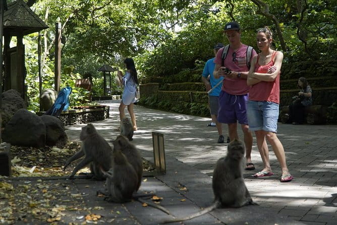 Bali Private Tour Waterfall with Tanah Lot Temple - Price and value: $79 per person for a private driver and tickets
