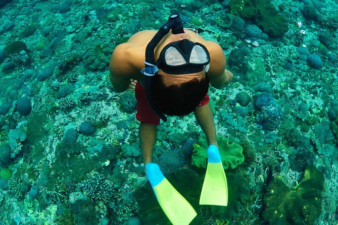 Bali Reef Cruise and Lembongan Island Day Trip - Entering The Bali Hai II Catamaran Comfort Zone