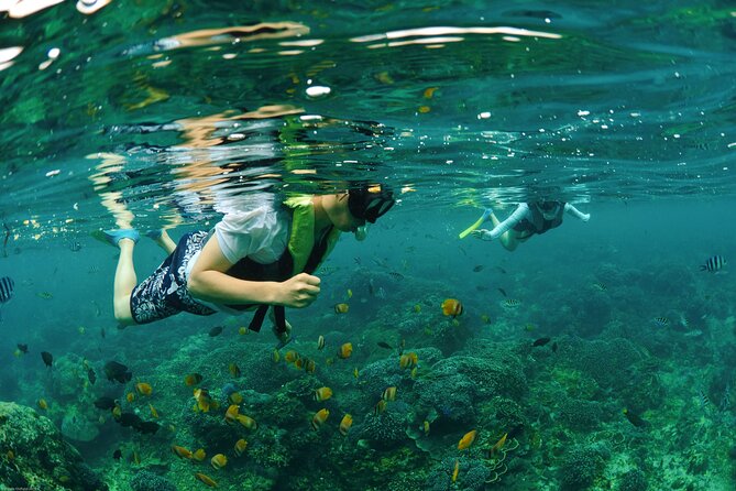 Bali Reef Cruise and Lembongan Island Day Trip - Reef Restoration Workshop: A Hands-On Reason to Care