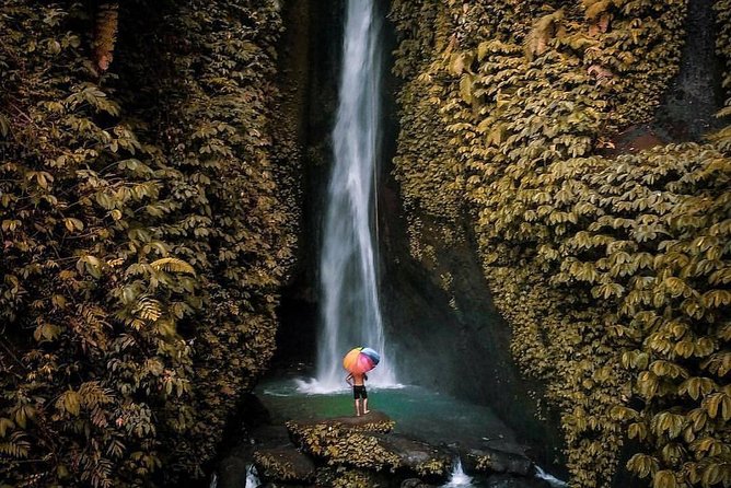 Bali Secret Waterfall Tour - Private and All-Inclusive - Gitgit Waterfall and the north route swing