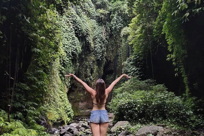 Bali Sekumpul with Fiji Waterfall & Bedugul Temple (Private Tour) - Who This Private Tour Suits Best