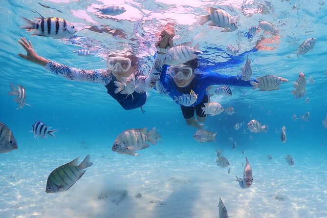 Bali Snorkeling Blue Lagoon with lunch &Optional waterfall Visit - From Seminyak Pickup to Padang Bai: How the Day Really Works