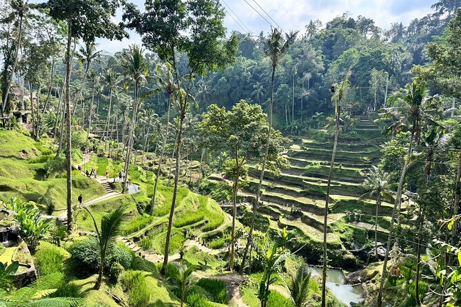 Bali Spiritual: Balinese Healing, Temple & Rice Terrace - Pura Puseh Desa Batuan: temple architecture you can actually notice