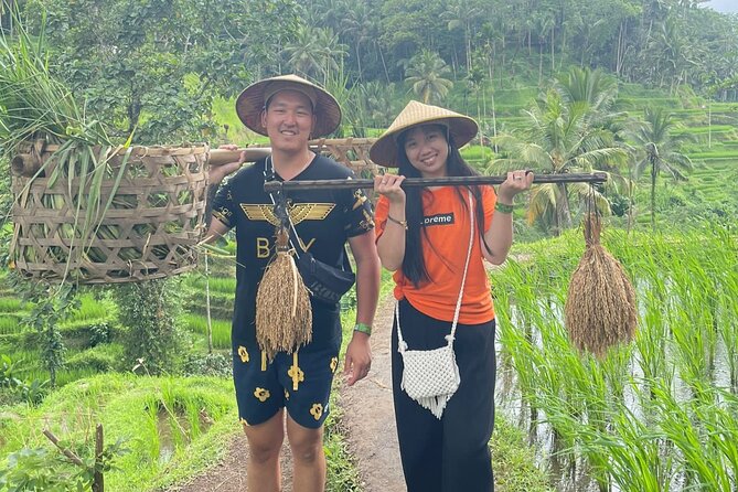 Bali Swing Hot Spring And Waterfall Private Guided Tour - Tegenungan Waterfall: jungle-top viewpoint time for real photos