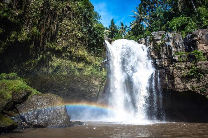 Bali Swing Hot Spring And Waterfall Private Guided Tour - Sacred Monkey Forest Sanctuary in Ubud, with a guide for the best angles