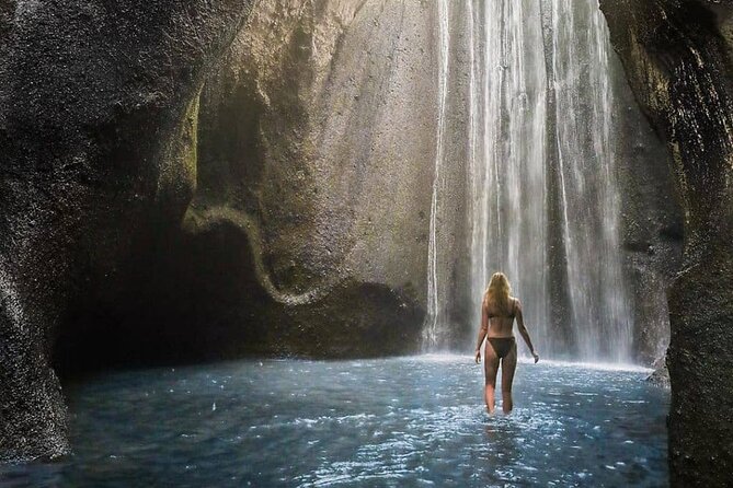 Bali Swing, Monkey Forest and Waterfall Private Tour - Tegalalang Rice Terrace: Terraced Fields and Irrigation Views