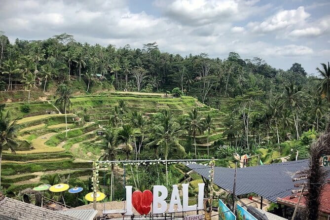 Bali Swing Packages and Kintamani Mt Batur Volcano View - Seminyak pickup and the 9:00 am schedule