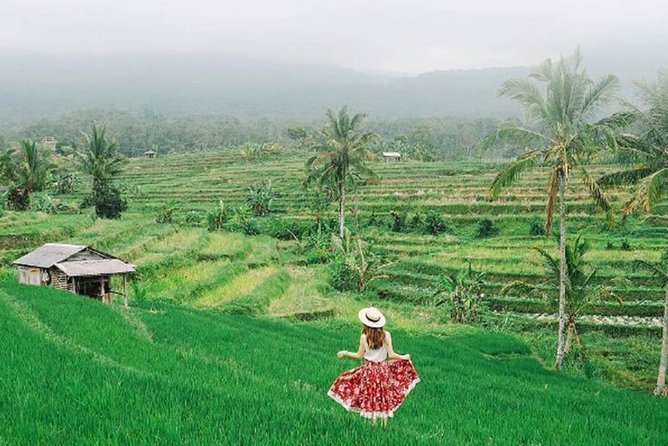 Bali Tour Package 9 Days 8 Nights - Day 3 temple and terraced-ridge day: Bratan, Handara Gate, Jatiluwih, Tanah Lot