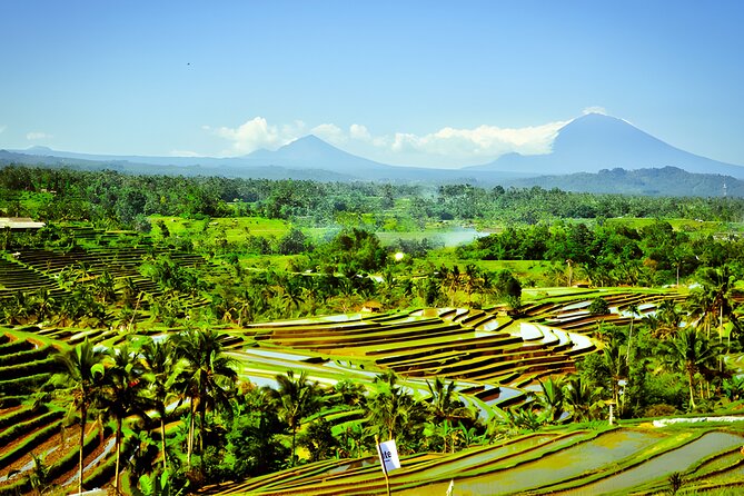 Bali Tour: The Best Way to Explore The Highlight of Bali - Drive-bys that add photo stops without extra hassle