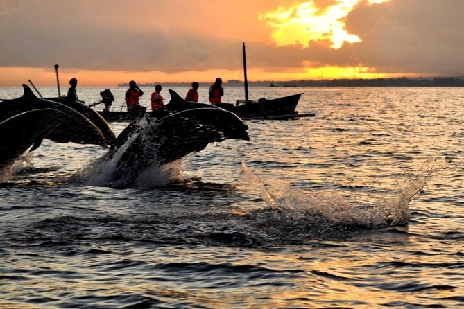 Bali Watching Dolphin at Lovina Beach & aling aling waterfall - Key things that make this trip work