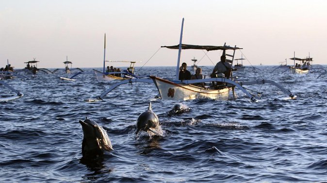 Bali Watching Dolphin at Lovina Beach & aling aling waterfall - Morning pickup, what to expect before you even see the sea
