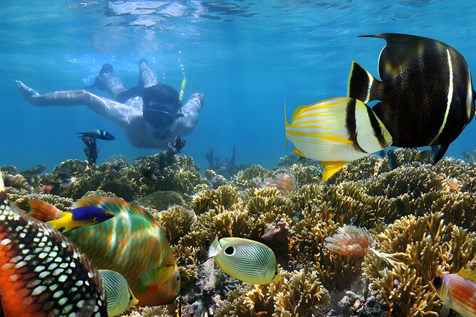 Bali Water Sport Jumbo Packages - Photos and Video: A Nice Add-On, Not a Deal Breaker