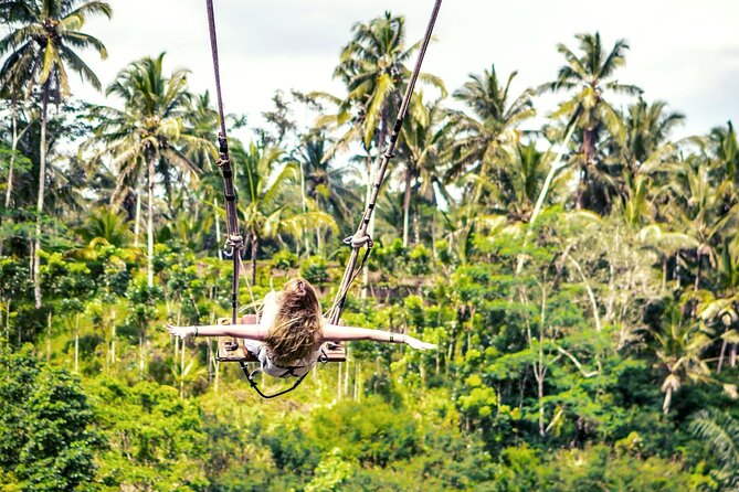 Bali White Water Rafting with Sacred Monkey Forest and Swing - Sangeh Monkey Forest: long-tailed macaques up close