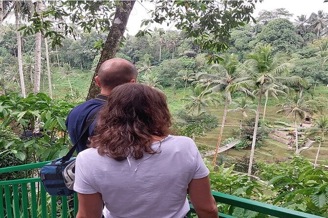 Banyumala Waterfall, Jatiluwih, Ulun Danu and Tanah Lot tours - Banyumala Twin Waterfalls: clear calm water, plus a real swim break
