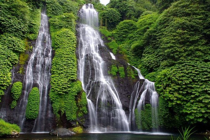 Banyumala Waterfall Tour - Price and what you actually get for $44