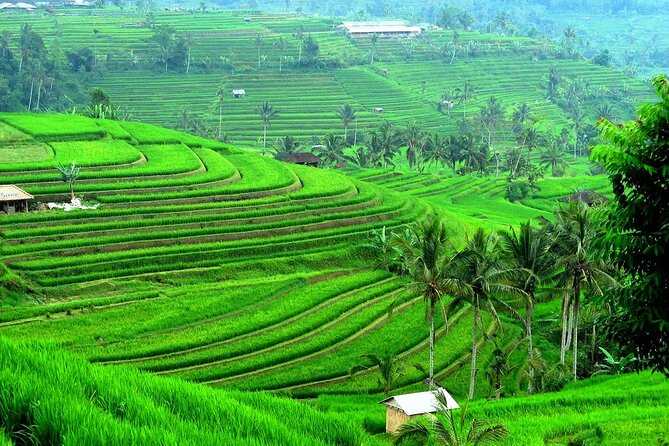 Beratan , lake side temple tour , all inclusive - Ulun Danu Beratan Temple: a lake view that feels like a reset button