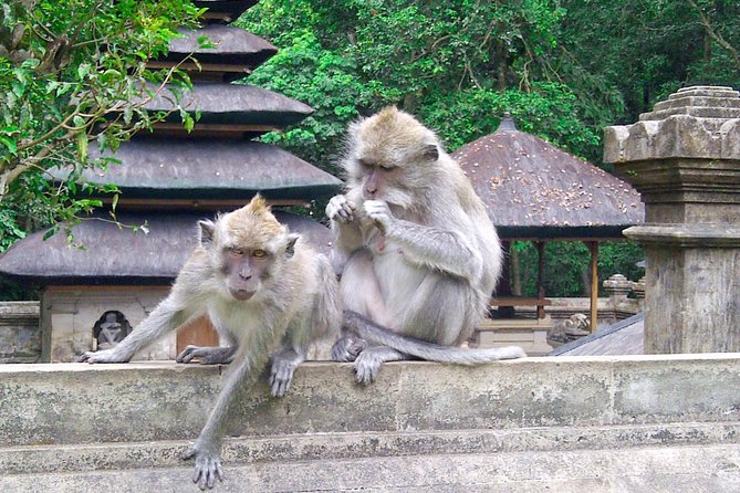 Best Bali Package Tour: 4 Days with Airport or Hotel Transfer - Why this Seminyak-based 4-day plan feels practical