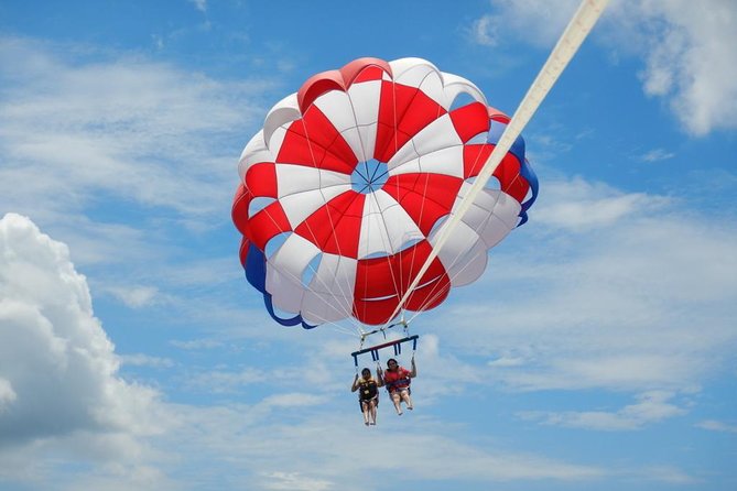 Best Bali Private Customize Tour - Transport quality and driver help: the part that really affects the day