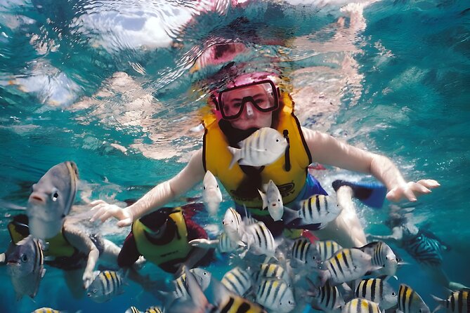 Best Bali Snorkeling at Blue Lagoon Beach: All-Inclusive - Marine life you can realistically expect to see