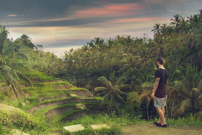 Best of Bali : Bali Temples , Rice Terrace and Waterfall Tour - What you get for the price, and why it is fair for Bali