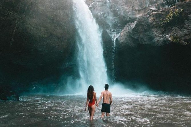 Best Of Ubud And Tanah Lot Temple Private Guide Tour - Pickup and drop-off across south Bali and Ubud, and why it’s valuable