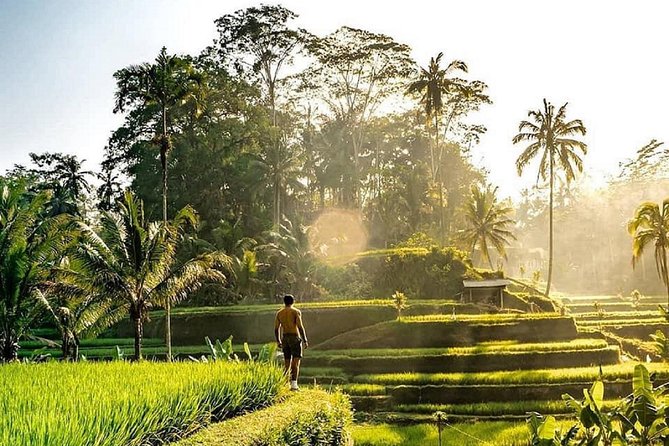 Best of Ubud - Full day Tour + FREE WI-FI - Key highlights worth showing up for