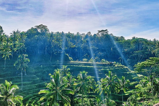 Best of Ubud - Full day Tour + FREE WI-FI - Door-to-door Ubud: how this tour saves your energy