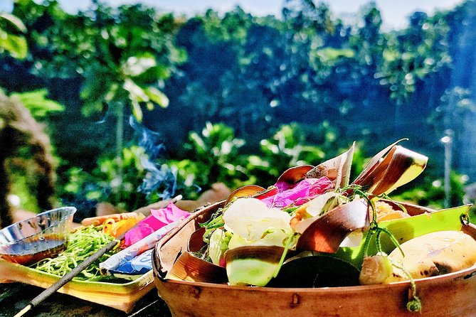 Best of Ubud - Full day Tour + FREE WI-FI - From Seminyak to Ubud: timing, comfort, and the Wi-Fi perk