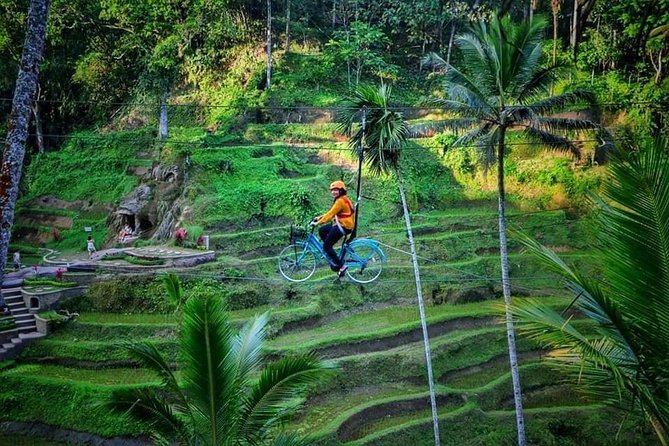 Best of Ubud - Full day Tour + FREE WI-FI - Sahadewa Barong and fire dance: a full hour of story and symbolism