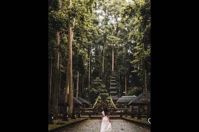 Best of Ubud: Jungle, Temples & Swing - Tegalalang Rice Terrace and the Subak System: More Than Just Views