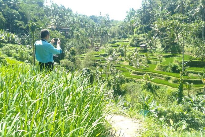 Best Of Ubud Scenic Full Day Private Guided Tour - Key highlights worth planning for
