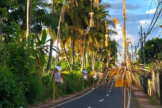 Best Of Ubud Scenic Full Day Private Guided Tour - From Seminyak pickup to an all-day Ubud route