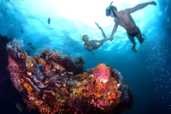 Best Snorkeling Activity in Blue Lagoon Beach Bali - Getting to Padangbai without the ride-chaos