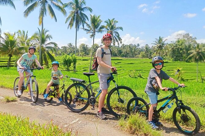Bike ride in the rice fields, Bali countryside - Key Points You’ll Care About