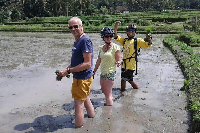 Bike ride in the rice fields, Bali countryside - School Visit Stop, If School Is in Session