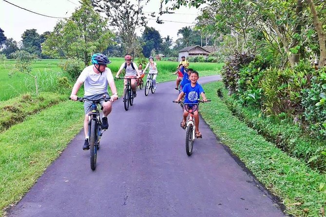 Bike ride in the rice fields, Bali countryside - Coconut in the Shade, a Tiny Pause That Feels Like a Reset