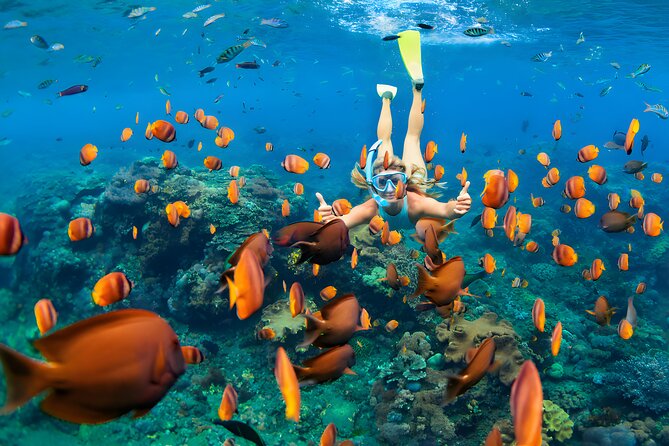Blue Lagoon Snorkeling and Uluwatu Sunset Tour - Price and Logistics: What $120 Gets You (and What It Doesn’t)