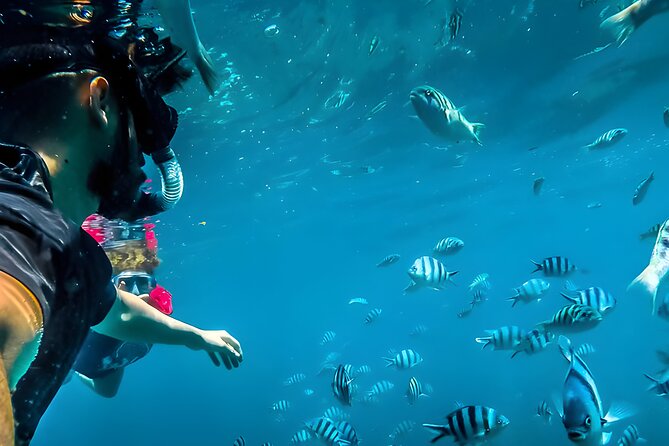 Blue Lagoon Snorkeling - Bali Best Snorkeling Site - Key things I’d plan around