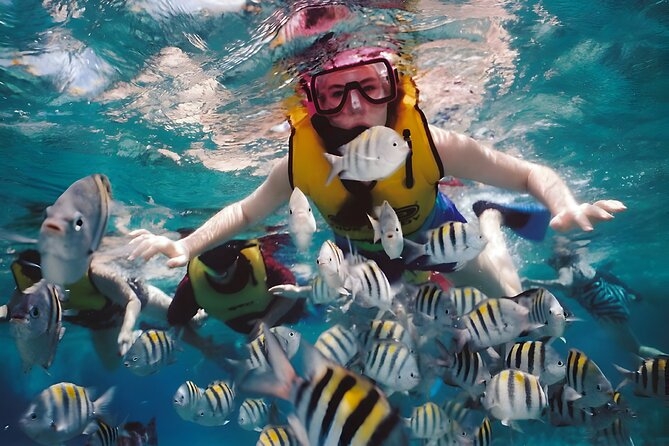 Blue Lagoon Snorkeling - Bali Best Snorkeling Site - Who This Trip Suits Best