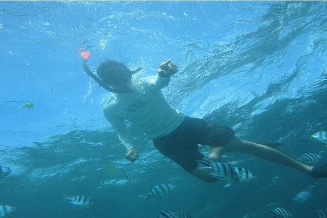 Blue Lagoon Snorkeling with Lunch and Private Transport - Blue Lagoon and Tanjung Jepun: Why This Combo Works